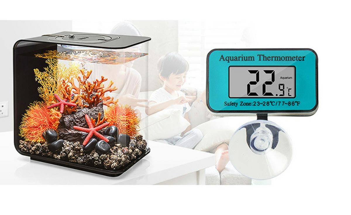 5d5e9748d1579981caf4bff4cb01b13e 5d5e9748d1579981caf4bff4cb01b13e